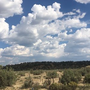 Meet your Posher, Mildred